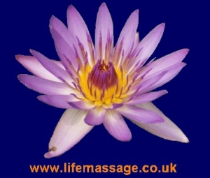 logo Life Massage