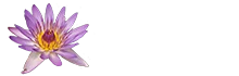 Life Massage Logo